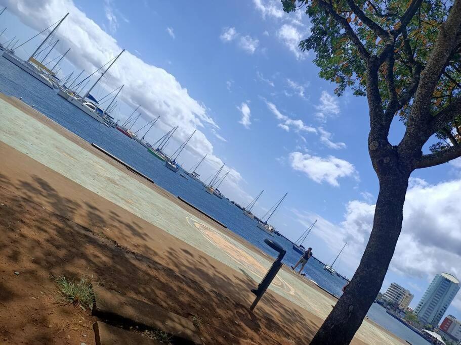 A 10Min De La Plage, Agreable Appartement Lumineux Le Robert Dış mekan fotoğraf